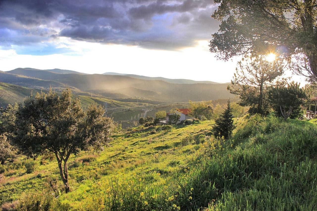 Apartmán Cielo Abierto Berzocana Exteriér fotografie
