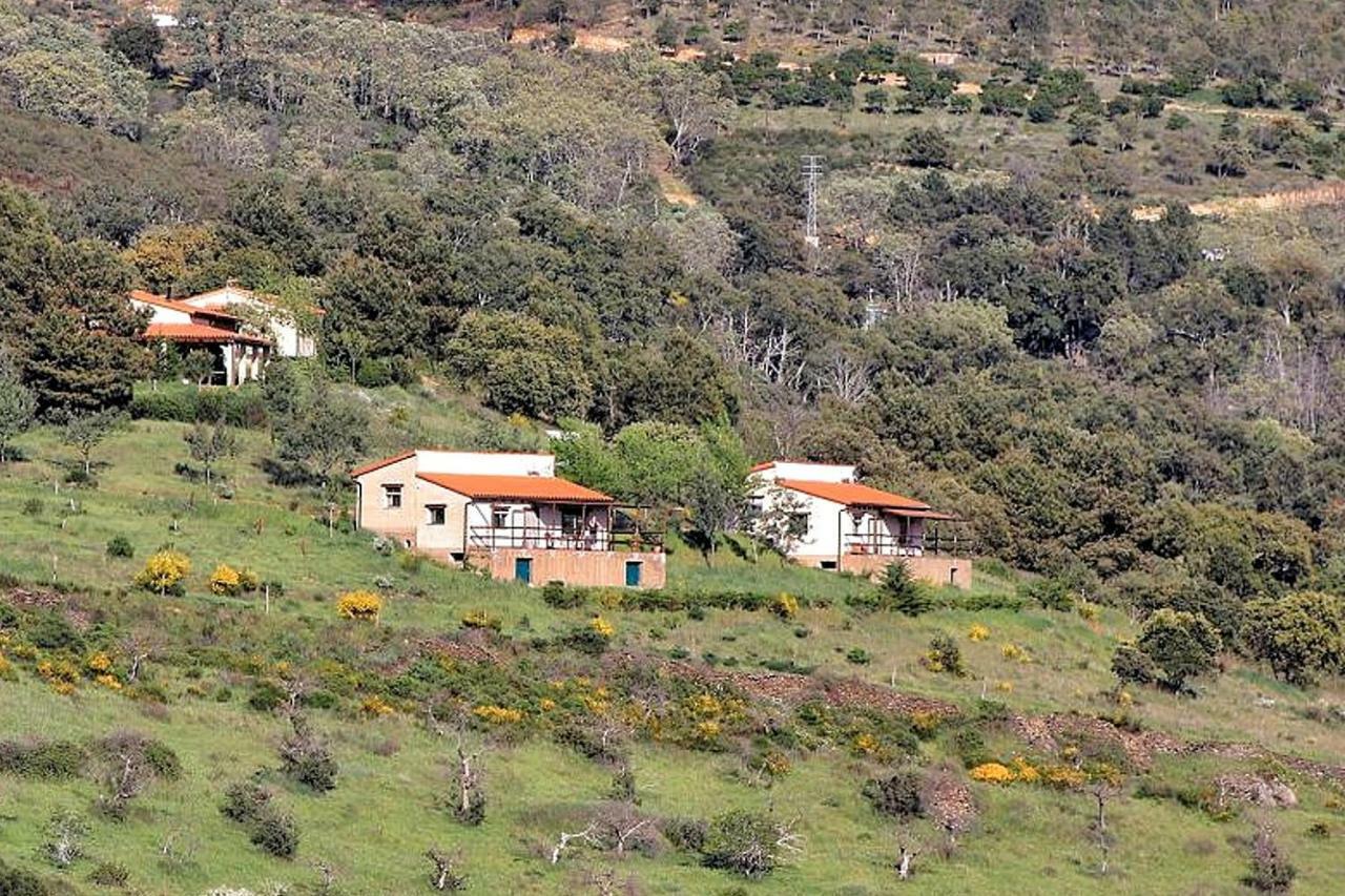 Apartmán Cielo Abierto Berzocana Exteriér fotografie