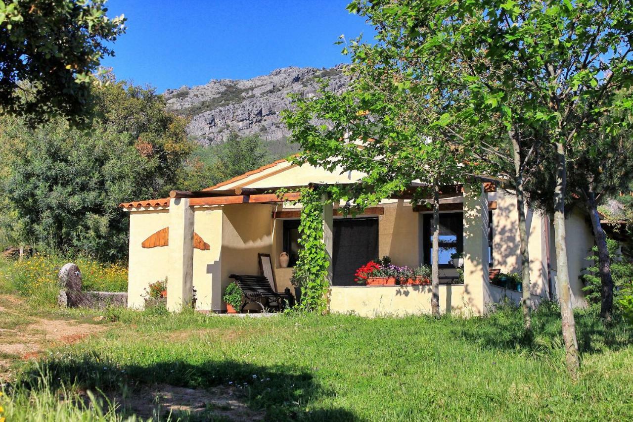 Apartmán Cielo Abierto Berzocana Exteriér fotografie